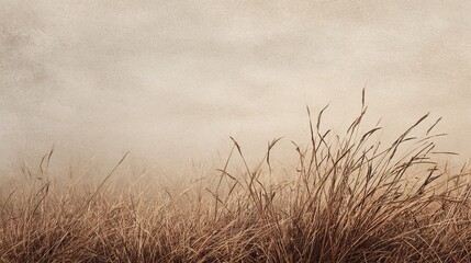 Faded Brown Grass Texture Against a Beige Background. High quality