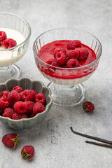 Traditional Italian dessert. Vanilla panna cotta with raspberry sauce and fresh raspberries on grey background in glass cup. Individual trifle with berry topping. Home cooking. Selective focus.