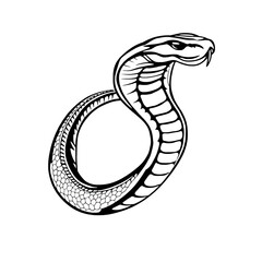 Fototapeta premium Coiled snake forming a perfect circle in sketch style.