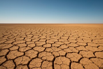 Arid cracked earth landscape under clear blue sky creating a sense of desolation and environmental concerns