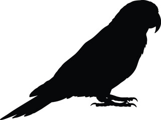 Black parrot silhouette tropical bird icon