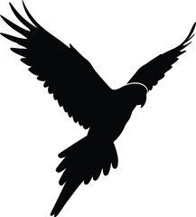 Black silhouette of eagle in flight