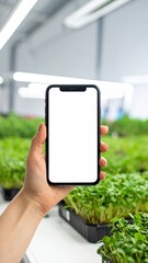 Hand holds a smartphone with a blank vertical screen, surrounded by rows of fresh green microgreens in an indoor growing environment.