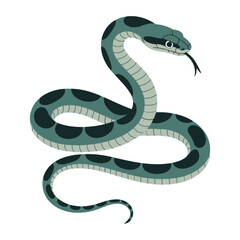 Fototapeta premium Sea Snake, vector illustration on white background.