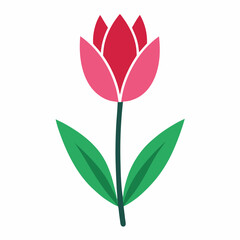 pink flower isolated on white background