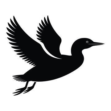 Loon Flying Bird Silhouette, Vector, Illustration, Outline, Line Art, Icon, Logo, White Background.