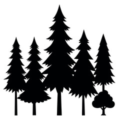 Silhouettes of evergreen trees in a forest&nbsp;setting
