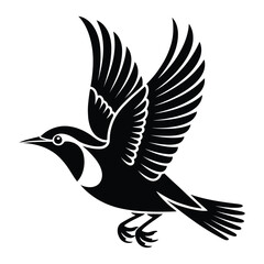 Fototapeta premium Starling Flying Bird Silhouette, Vector, Illustration, Outline, Line Art, Icon, Logo, White Background.