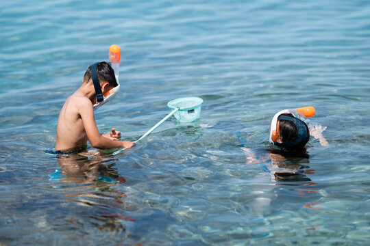 Children snorkeling and fishing in the sea with full face snorkeling masks - Powered by Adobe