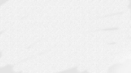 Pure White Wall Neutral Room mur blanc weiße Wand pared blanca muro bianco parede branca 白い壁 biała ściana 흰 벽 © vikram singh