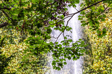 Fuente en un Parque Publico en Asturias.