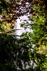 Fuente en un Parque Publico en Asturias.