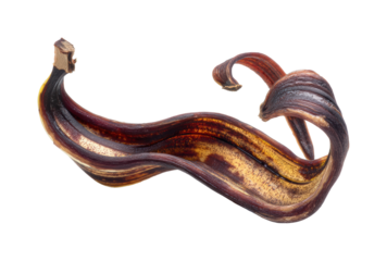 Creative culinary twisted banana peel sculpture in abstract perspective isolated on transparent background, png