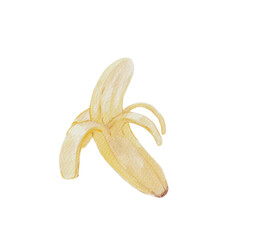 Hand-painted watercolor illustration of a peeled banana with soft yellow tones and realistic texture. Perfect for food-themed designs, kitchen prints, packaging, or educational materials. Created by m
