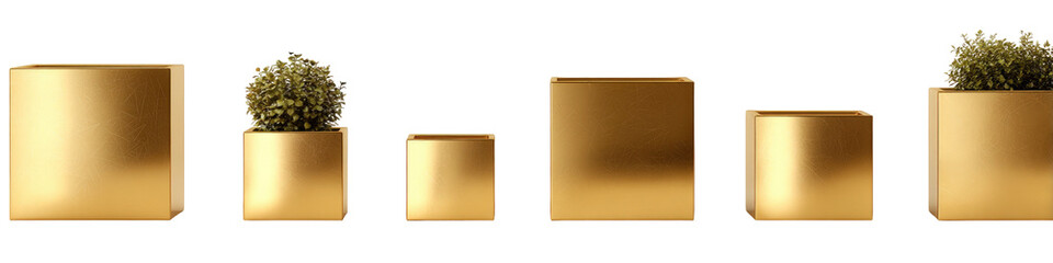 Gold-toned rectangular planters of varying sizes, holding small plants