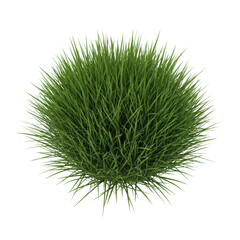 Pristine, vibrant green grass clump with varying blades and intricate microscopic texture, isolated against a pure transparent background with shadowless lighting, studio product photography