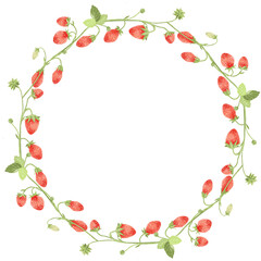 Fototapeta premium Watercolor wreath with strawberries ana leaf and berries isolated.