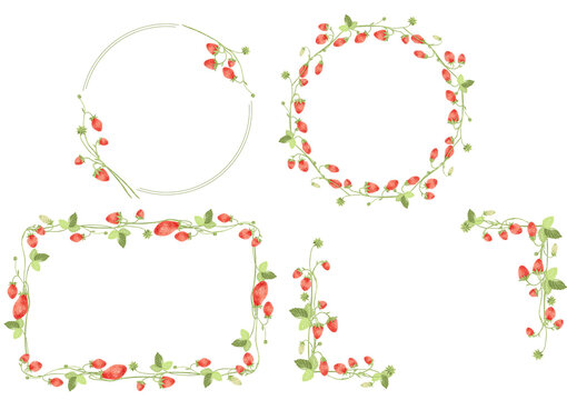 Collection of wreathes with elegance watercolor braches of strawberry and leaves isolated.