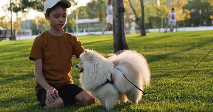 Child pets dog gently on green grass. Boy petting puppy shares affectionate moment. Child and puppy friendship. Kid with spitz dog enjoys outdoor pet play. Happy child with dog radiates joyful bonding