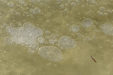 Frozen lake surface with air bubbles in ice