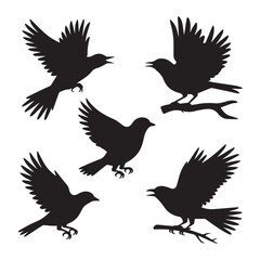 Obraz premium Bird Silhouettes Vector Set – Flying, Perching, and Soaring Poses of Various Bird Species Isolated Collection