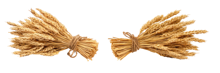 Two Bundles of Wheat