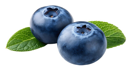 bilberry isolated png bilberry on white or transparent background perfect retouched blueberries no background png bilberries collection full depth of field