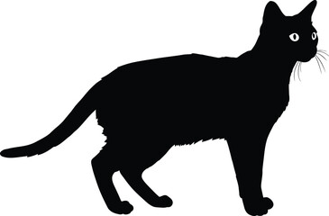 Black cat silhouette standing elegant feline profile
