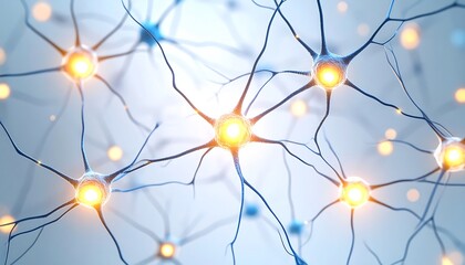 Complex network of neurons