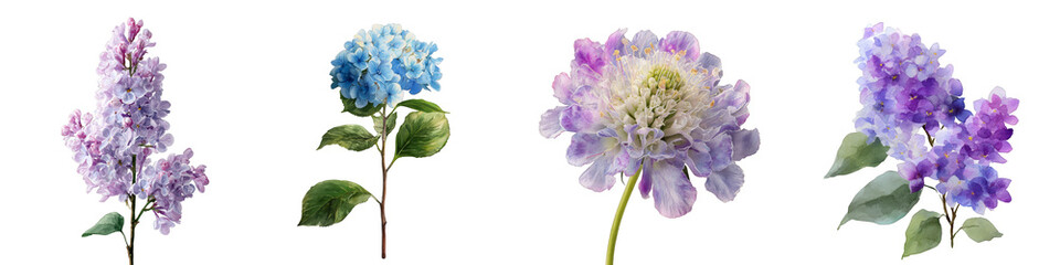 Obraz premium Colorful assorted flowers lilac blue purple floral arrangement on transparent background