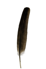 feather