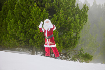 Santa Claus getting ready to throw snowballs against green spruce tree in forest