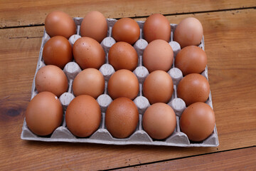 oeufs pour la consommation