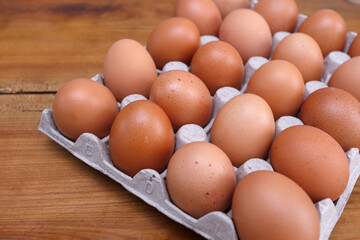 boîte à oeufs