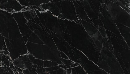 Elegant Black Marble Texture with White Veins, Detailed Surface Pattern