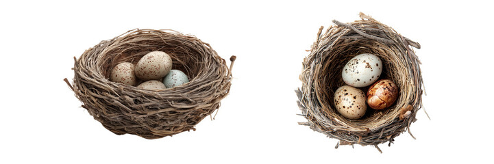  Set of a bird's nest with eggs, isolated on transparent background. 