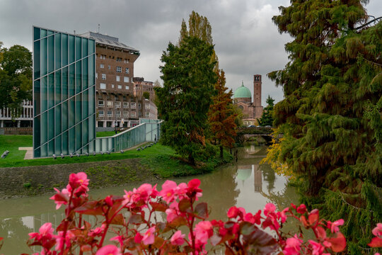 View of muddy waters reflect ancient architecture and lush greenery under a muted sky, framed by vibrant pink flowers, Padua, Veneto, Italy.