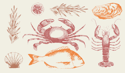 Realistic traditional ink drawing set of seafood for label, logo, poster, tattoo. Crab vintage retro print, fish, crawfish sketch grainy texture, grunge. Vector illustration. Stipple photocopy effect.