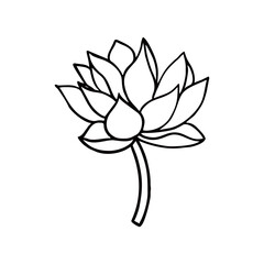 lotus flower line design