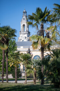 Palais Beaumont, Pau, c&ocirc;t&eacute; du parc Beaumont avec ses palmiers
