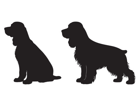 WORKING COCKER SPANIEL DOG SILHOUETTE