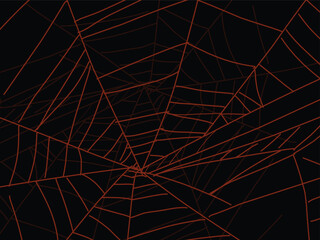 spider web vector  illustration. eps
