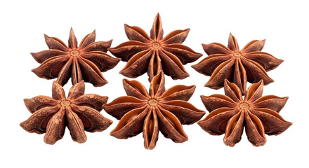 Isolated Group of Star Anise
