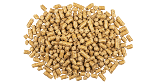 Isolated Animal Food