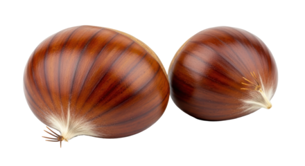 Isolated Chestnuts
