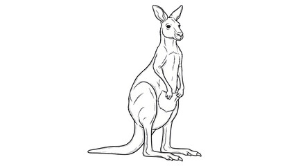 Isolated Kangaroo Illustration