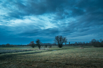 Fototapeta premium Cloudy sky over a meadow with trees and bushes, Nowiny, Poland