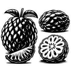 Illustration of three cherimoya fruits in black and white with detailed textures and shading effects