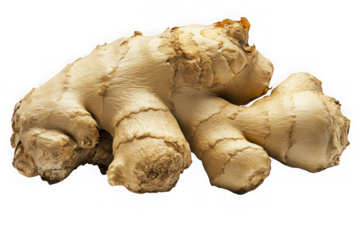 Fresh raw ginger root vegetable spice culinary ingredient cooking food photography stock image high quality isolated on transparent background