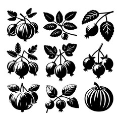 Illustration of various black and white berry clusters and leaves on branches in silhouette style design